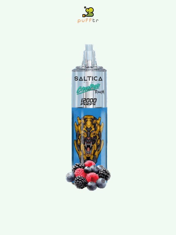 saltica-cyberpunk-12000-disposable-blueberry-sour-raspberry
